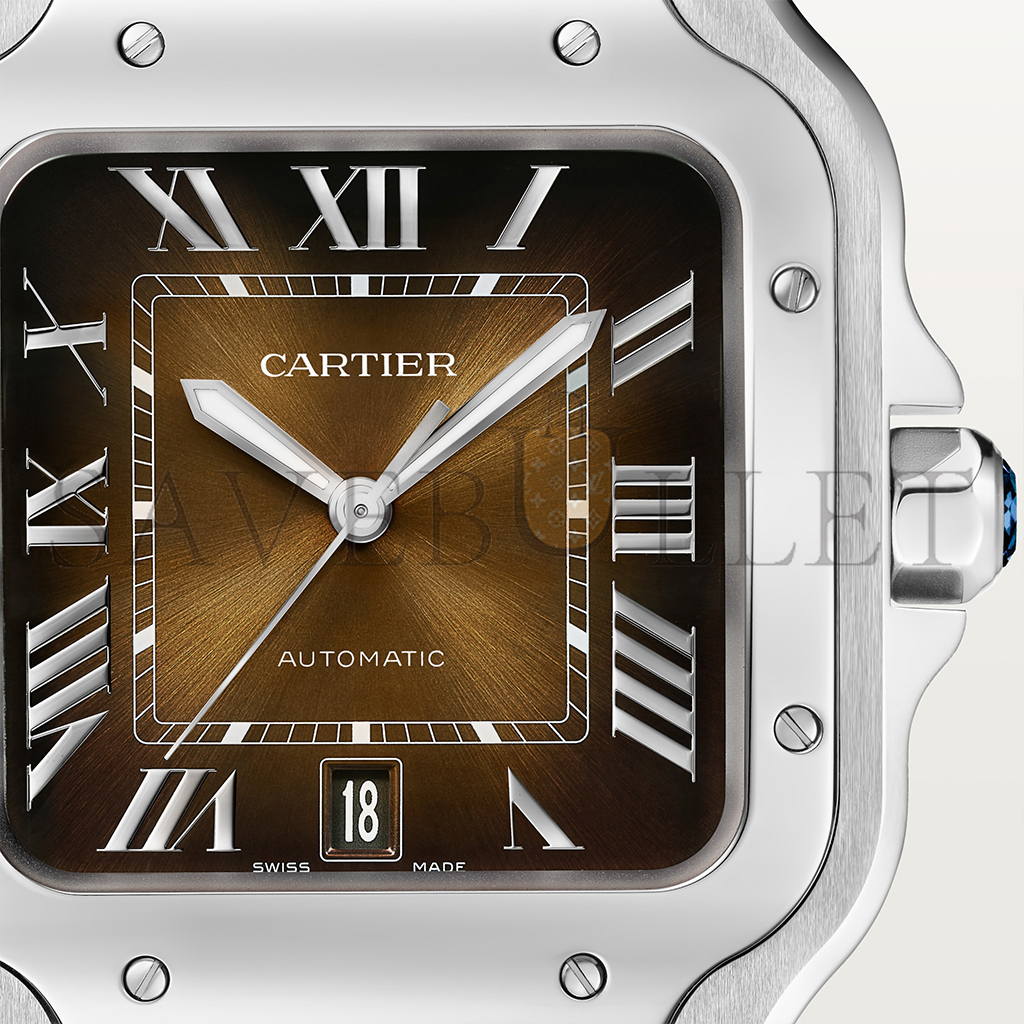 CARTIER SANTOS DE CARTIER WATCH WSSA0064