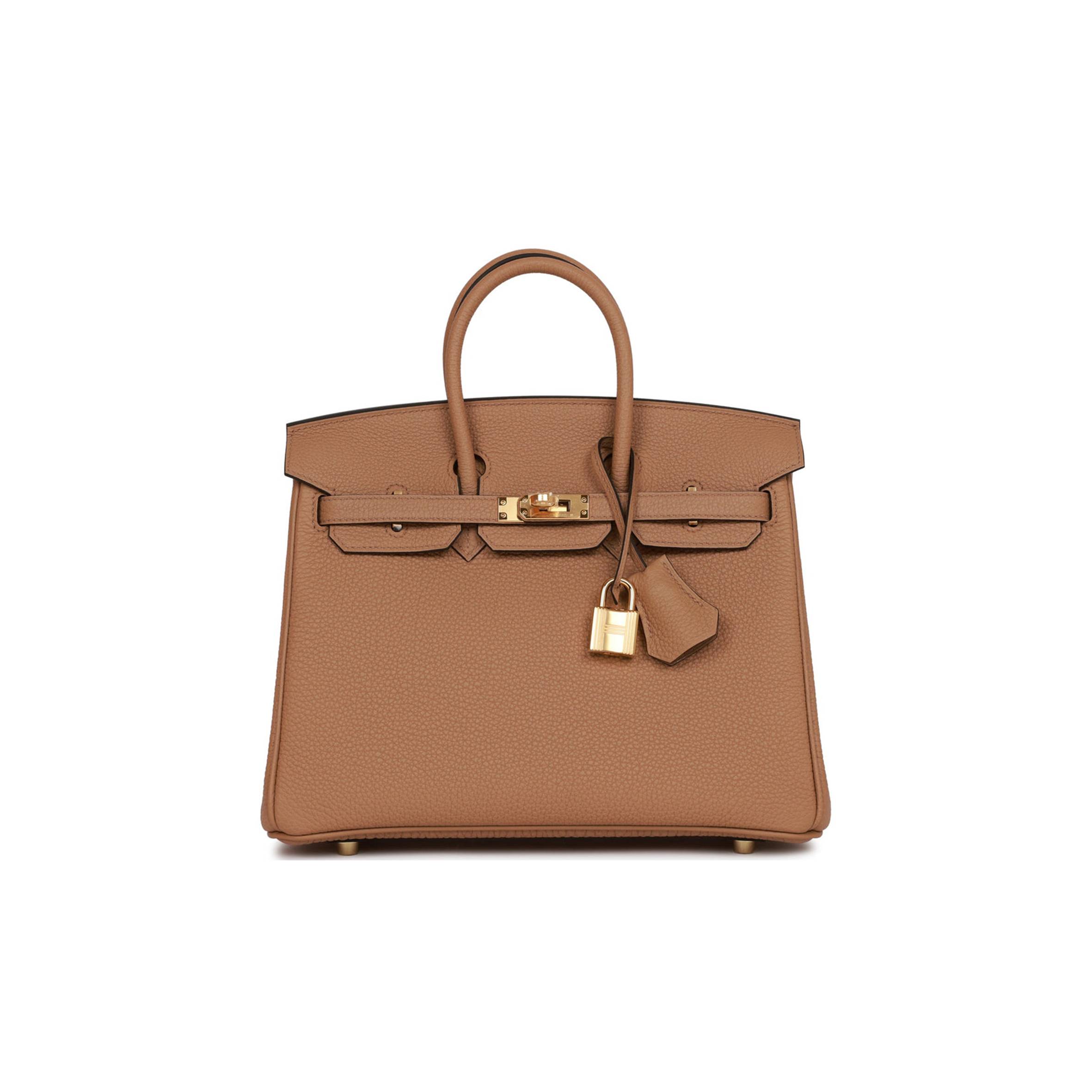 HERMES BIRKIN 25 CHAI TOGO GOLD HARDWARE (25cm)